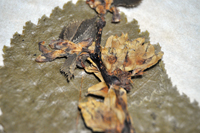 Detalle 1